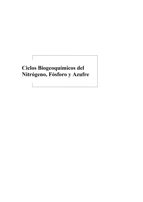 Miniatura del documento Trabajo-Ciclos-Nitrogeno-Fosforo-y-Azufre.pdf