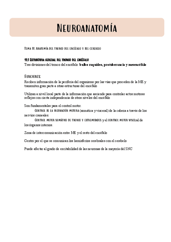 Miniatura del documento Tema-11-NEUROANATOMIA.pdf
