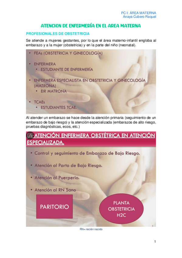 Miniatura del documento AREA-MATERNA.pdf