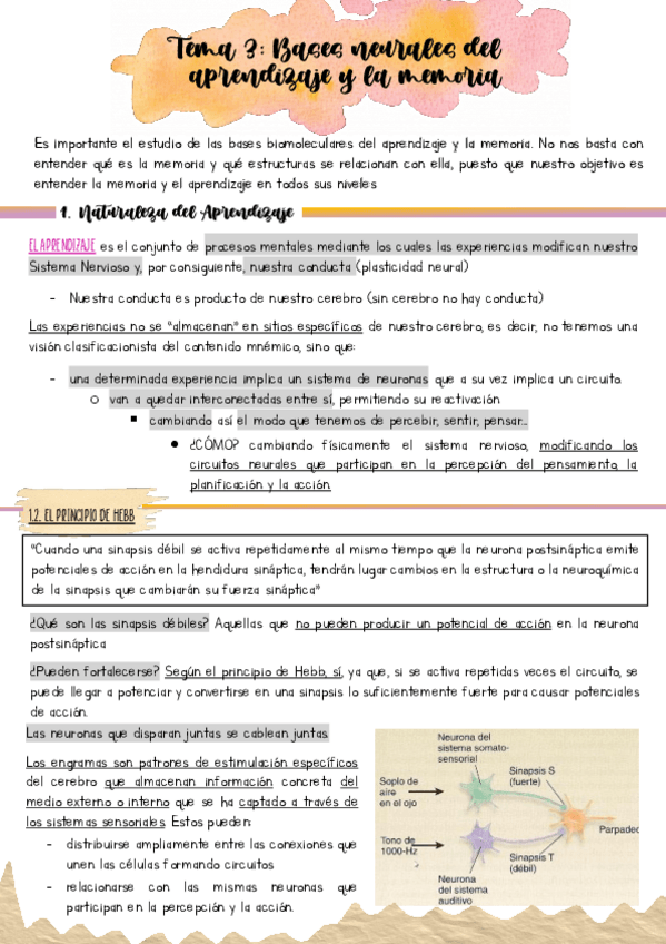Miniatura del documento tema-3-completo.pdf