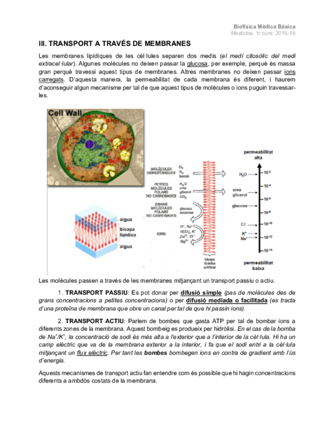 Miniatura del documento III. Transport a través de membranes.pdf