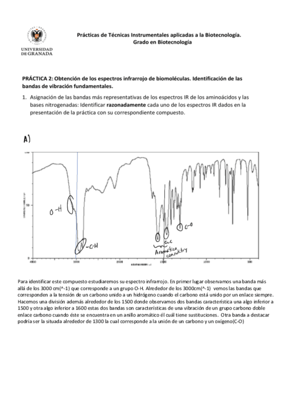 Miniatura del documento PRACTICA2.pdf