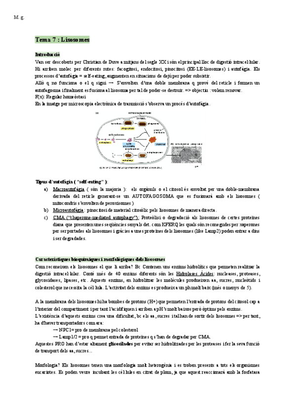 Miniatura del documento Bio-Cellular-Lisosomes-Tema-7.pdf