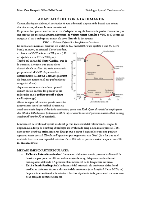 Miniatura del documento Fisio-CR-4.pdf