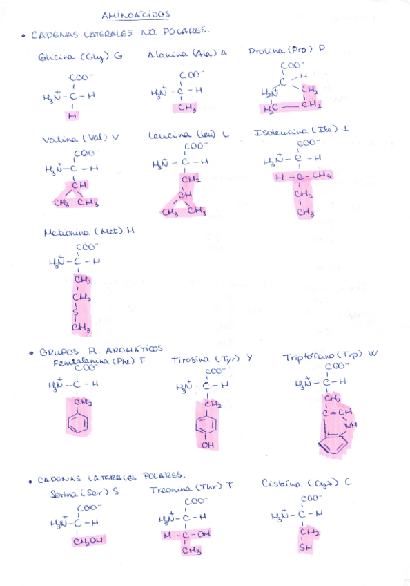 Miniatura del documento Resumenes Q Biologia.pdf