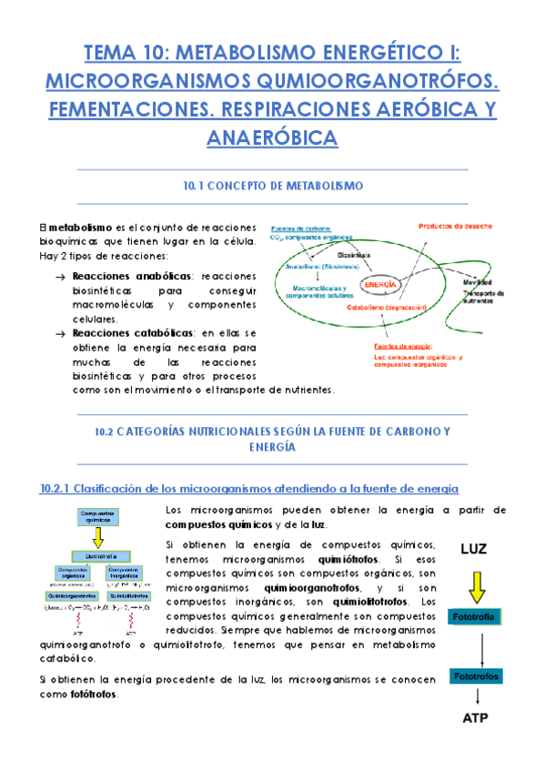 Miniatura del documento TEMA-10.pdf