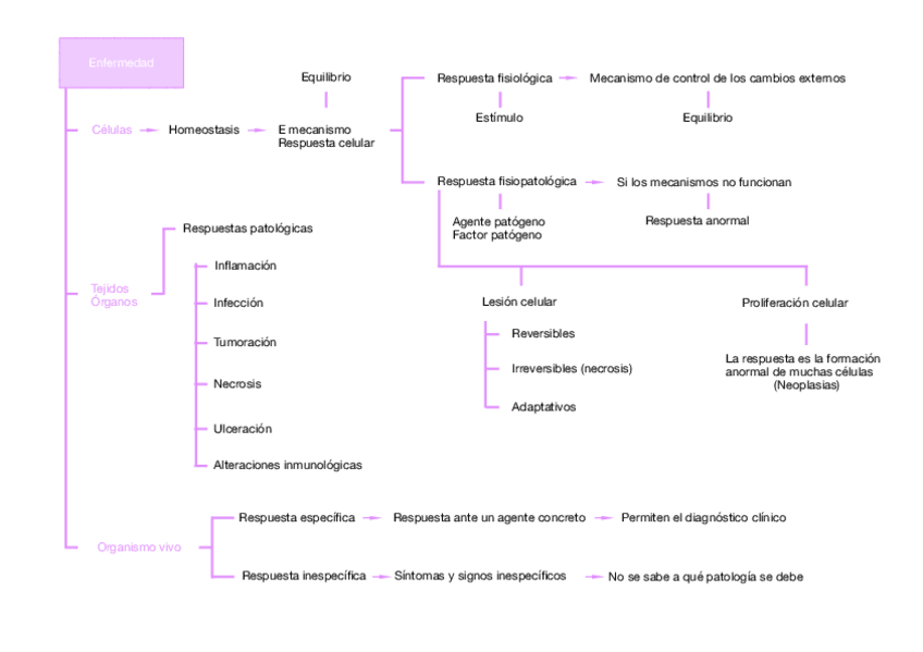 Miniatura del documento Enfermedad.pdf