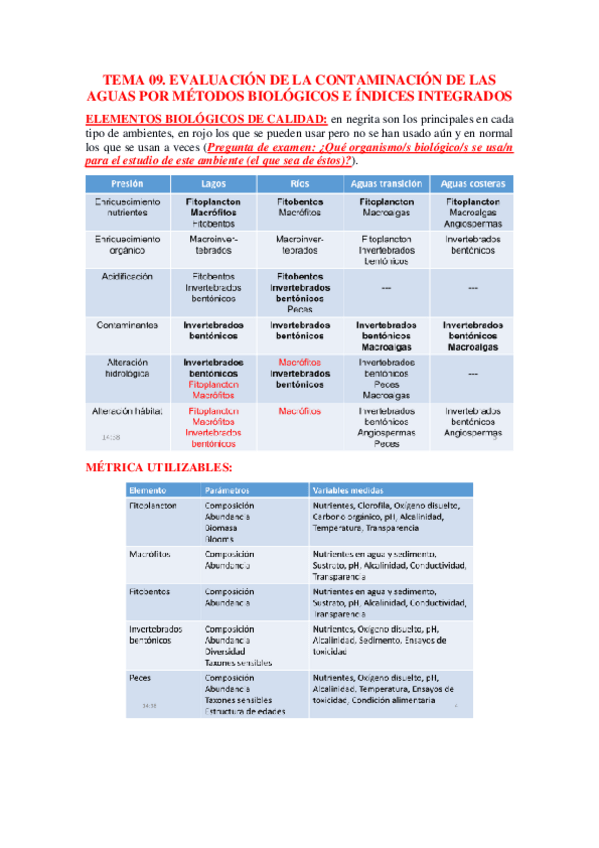 Miniatura del documento TEMA 09.pdf