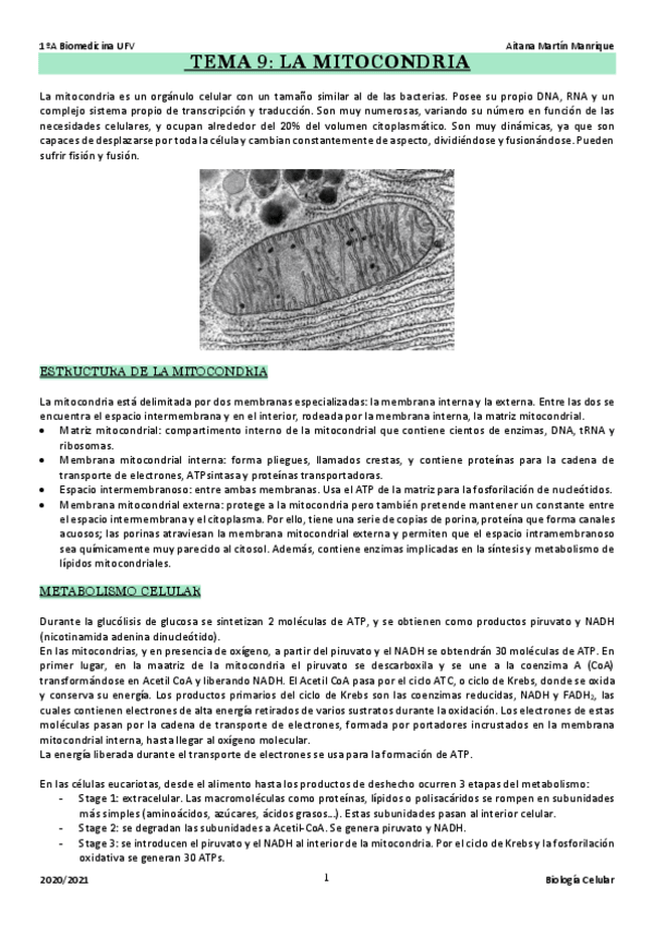 Miniatura del documento TEMA 9: mitocondria