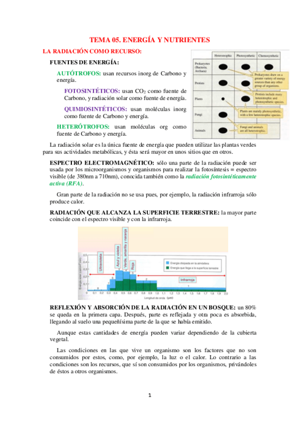 Miniatura del documento TEMA 05.pdf