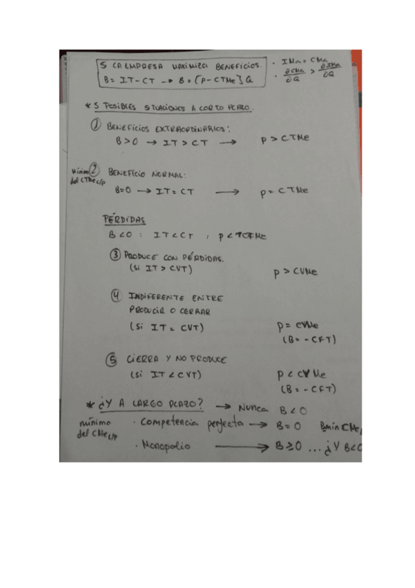 Miniatura del documento APUNTES MICROECONOMIA.pdf