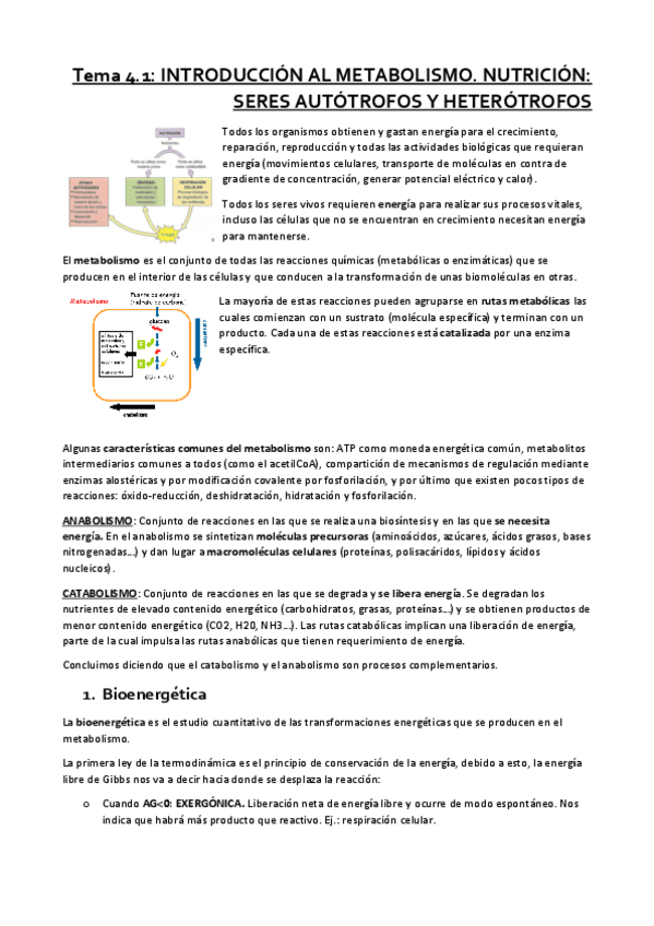 Miniatura del documento Tema-4.pdf