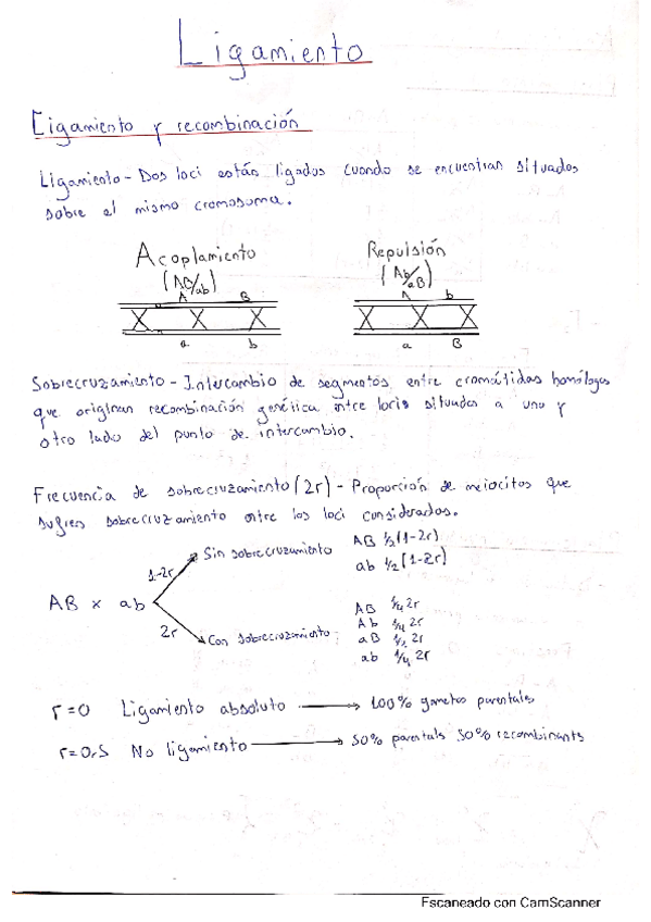 Miniatura del documento Resumen.pdf