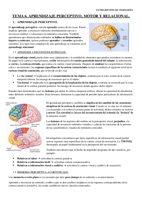 Miniatura del documento TEMA-6.pdf