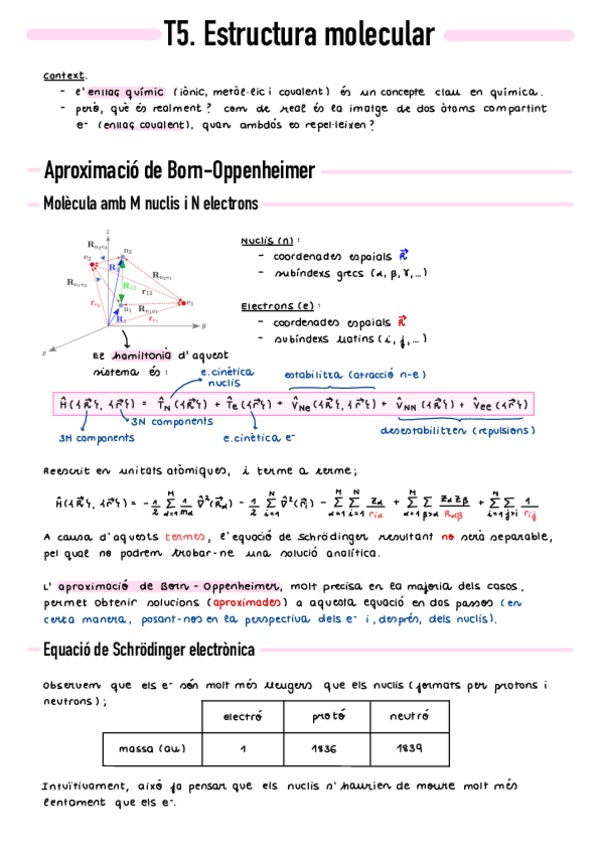 Miniatura del documento T5-Estructura-molecular.pdf