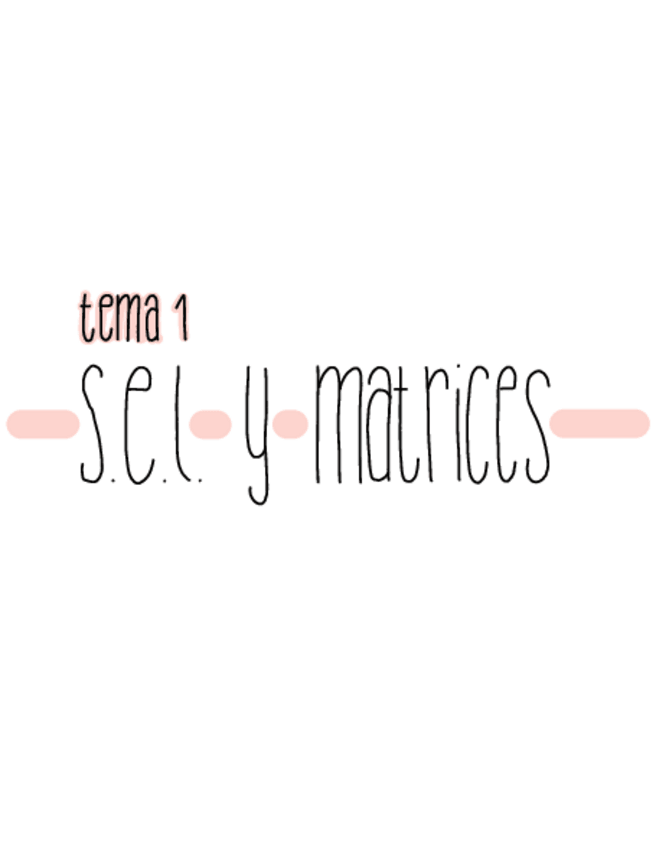 Miniatura del documento T1.pdf