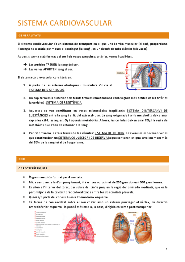 Miniatura del documento anato-2.pdf