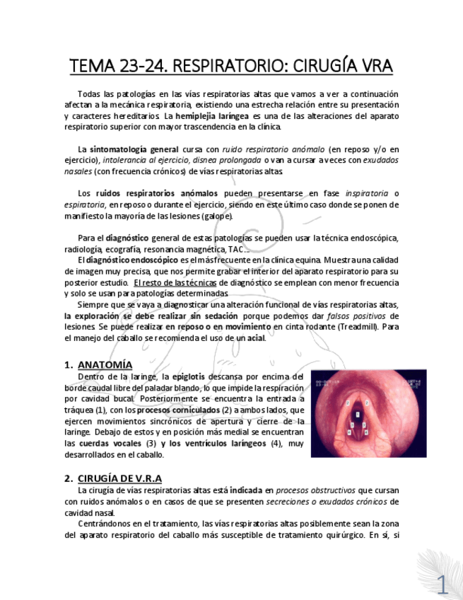 Miniatura del documento TEMA-23-24.RESPIRATORIO.pdf