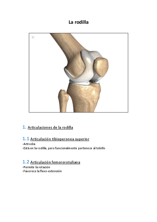 Miniatura del documento Rodilla-y-tobillo.pdf