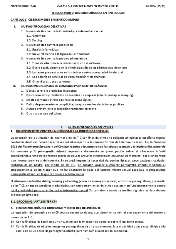 Miniatura del documento TEMA-6CIBERCRIMINALIDADANDREA.pdf