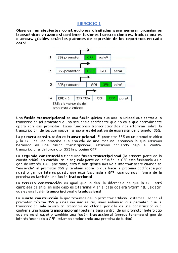 Miniatura del documento Ejercicios-Fenoll.docx