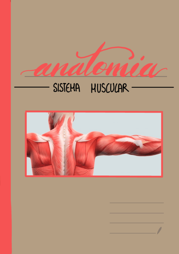Miniatura del documento Anatomia|El sistema muscular|.pdf