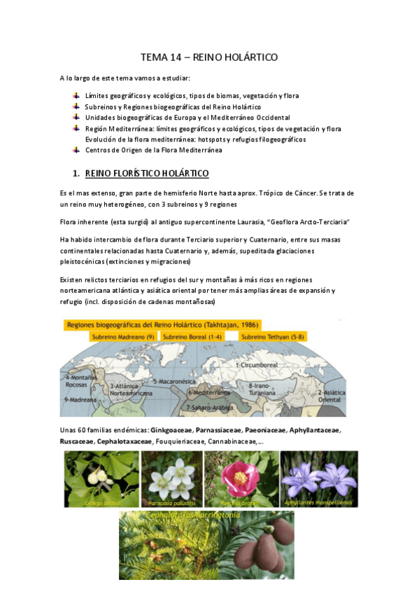 Miniatura del documento TEMA-14-apuntes.pdf