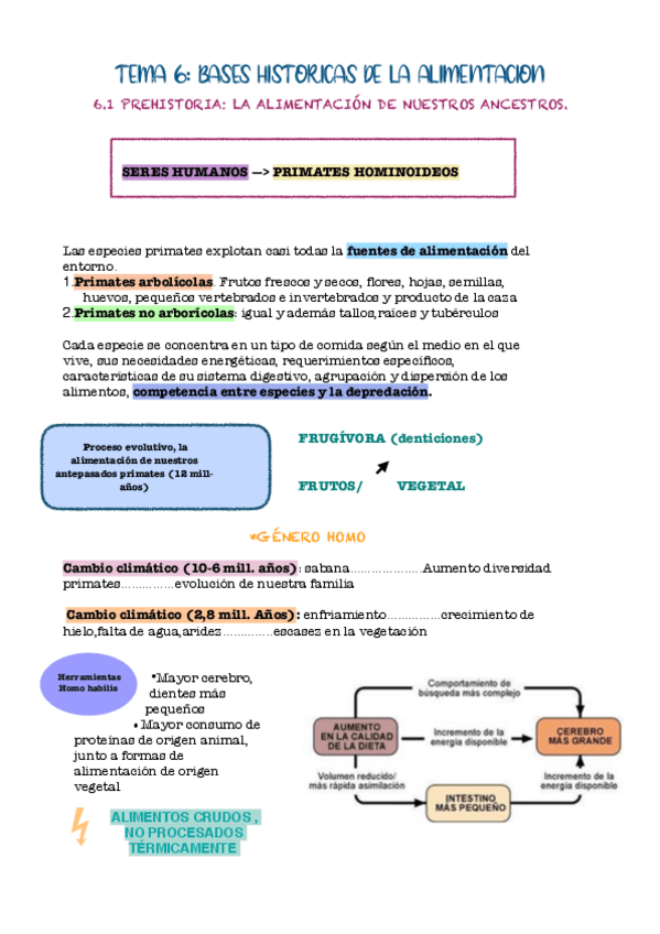 Miniatura del documento TEMA-6-AYC.pdf