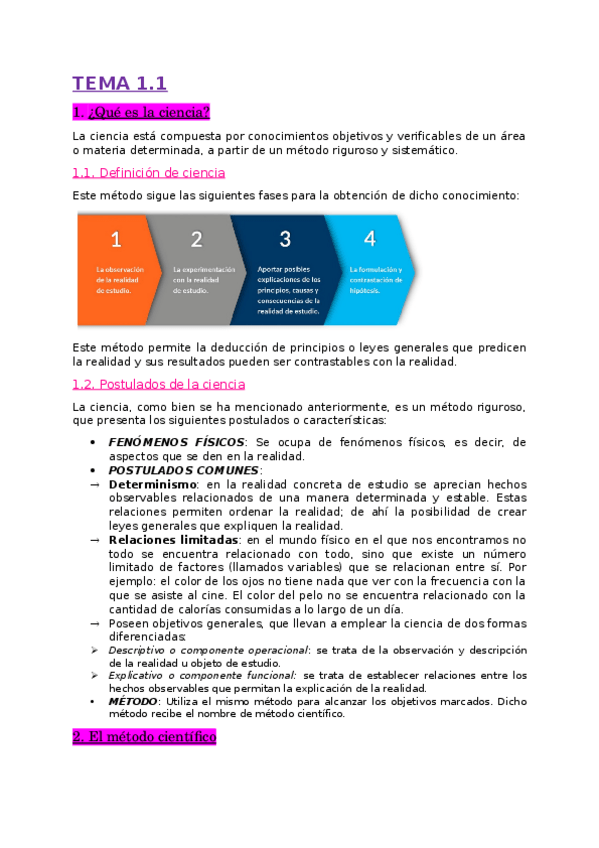 Miniatura del documento APUNTES-FIP.docx