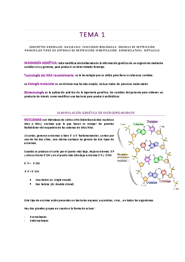 Miniatura del documento TEMA-1.pdf