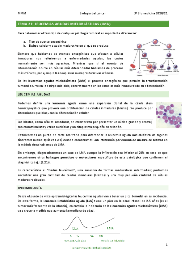 Miniatura del documento TEMA-21-Leucemias-mieloblasticas-agudas-LMA.pdf
