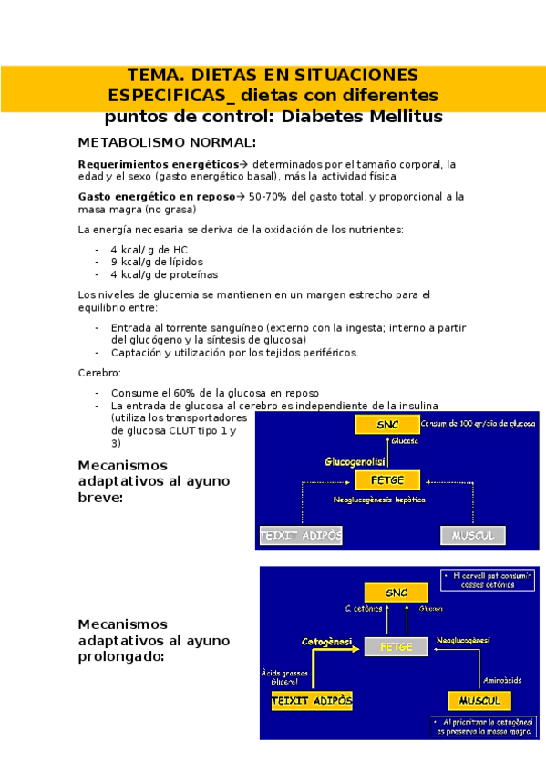 Miniatura del documento apuntes-1-parcil-2-parte-nutriclinina.docx