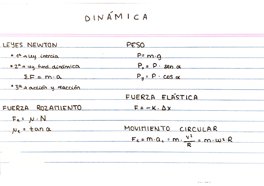 Miniatura del documento formulario-dinamica.pdf