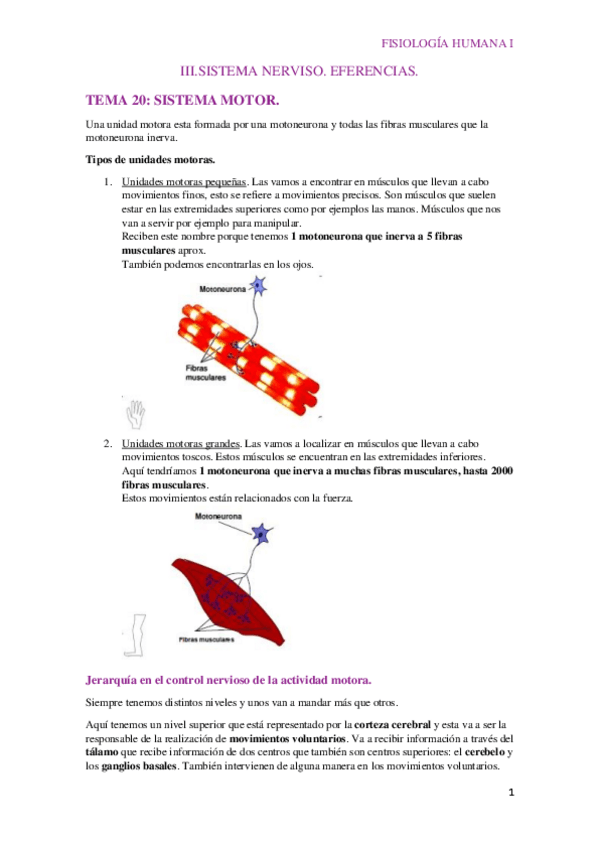Miniatura del documento TEMA-20.pdf