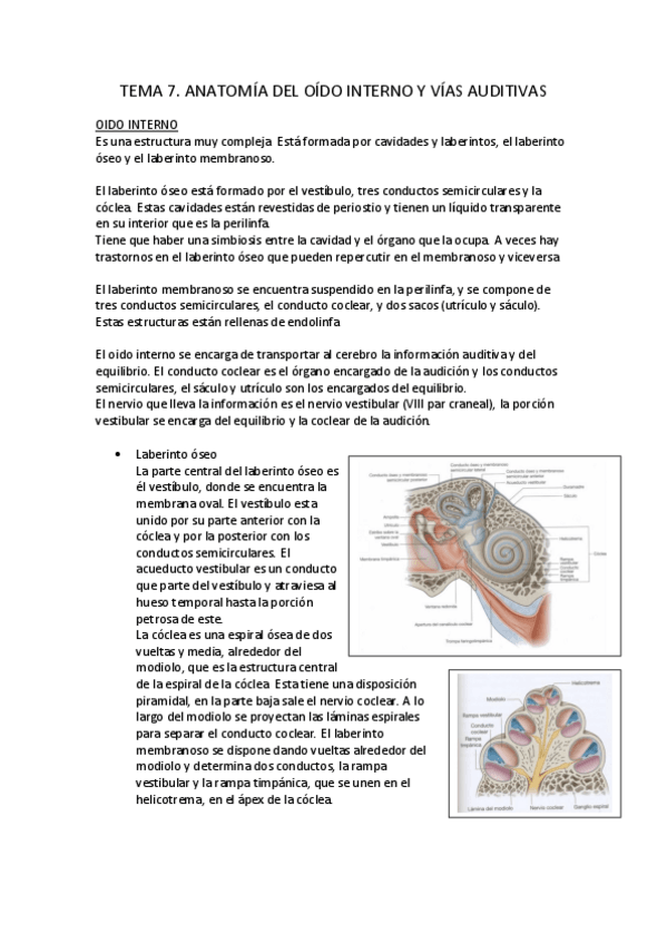 Miniatura del documento tema-7-audio-convertido.pdf