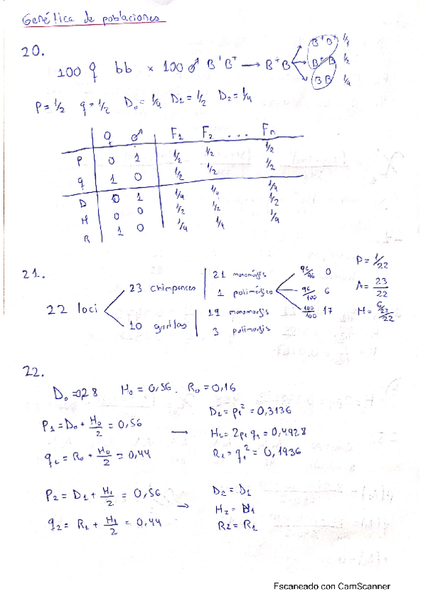 Miniatura del documento EjerciciosGenPoblaciones.pdf