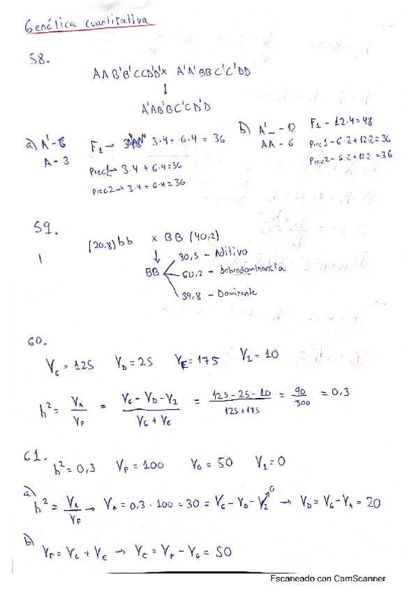 Miniatura del documento EjerciciosGenCuantitativa.pdf