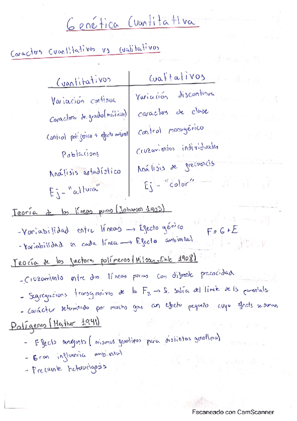 Miniatura del documento Resumen.pdf