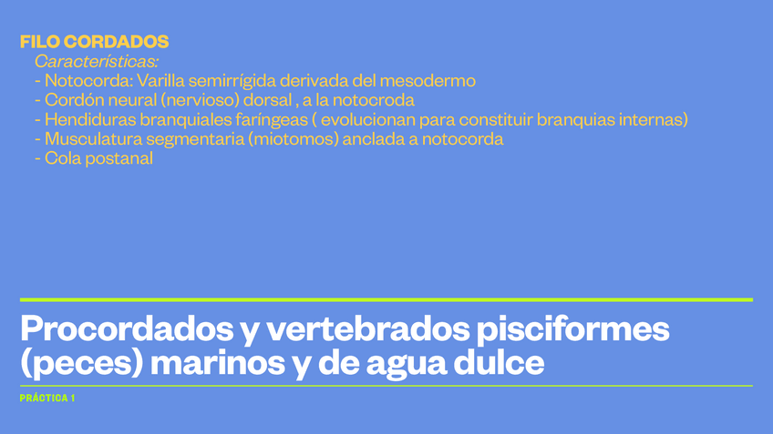 Miniatura del documento peces-practica-pdf.pdf