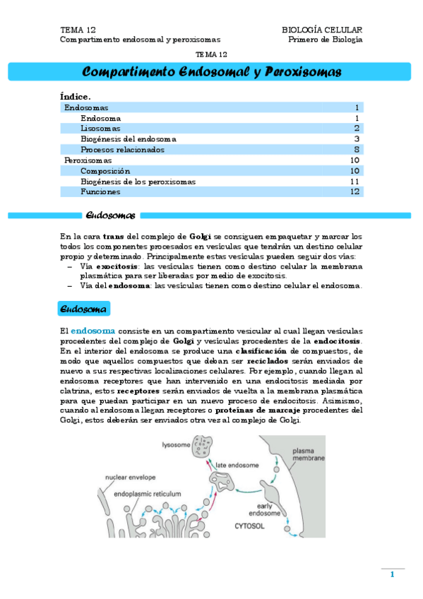 Miniatura del documento TEMA 12. Endosomas y Peroxisomas