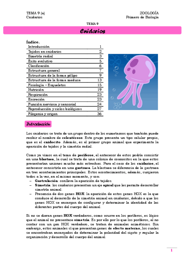 Miniatura del documento TEMA 9.a. Cnidarios