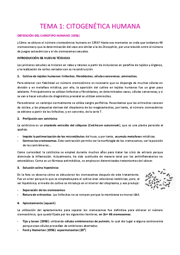 Miniatura del documento TEMA-1-PARTE-1.pdf