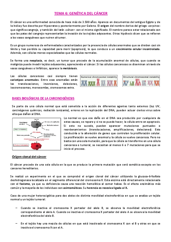 Miniatura del documento Tema-6-Genetica.pdf