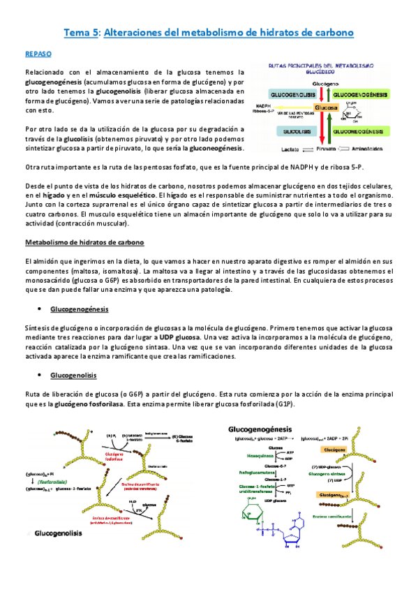 Miniatura del documento Tema-5-.pdf