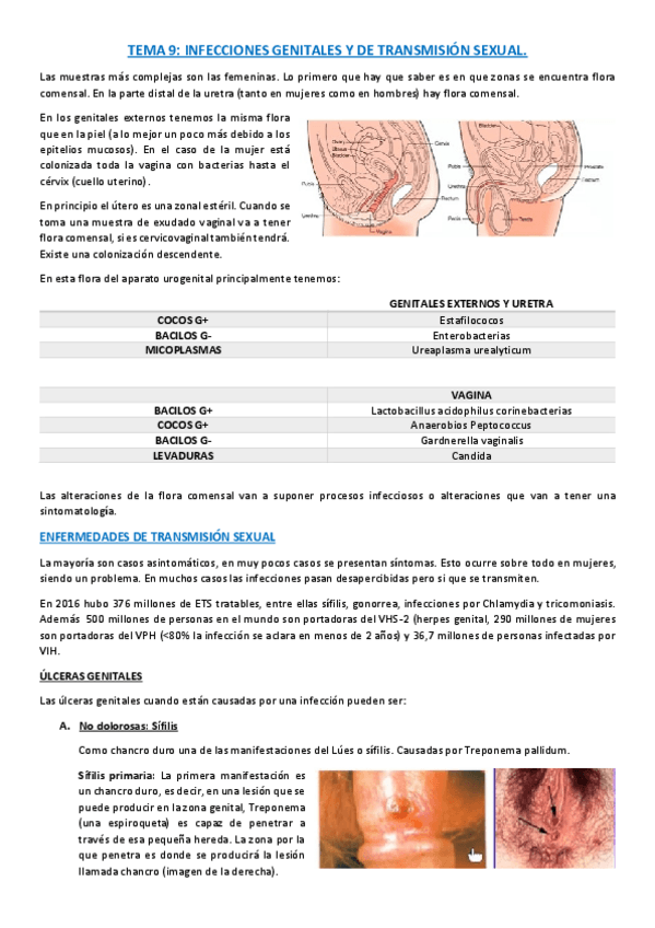 Miniatura del documento TEMA-9.pdf