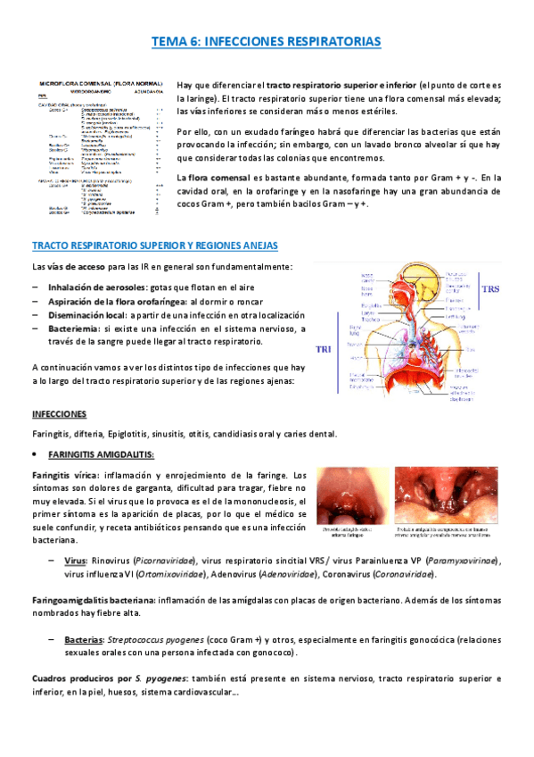 Miniatura del documento Micro-tema-6.pdf