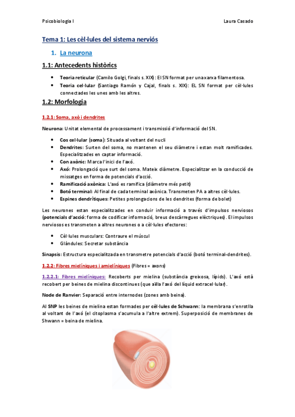 Miniatura del documento Resum tema 1.pdf