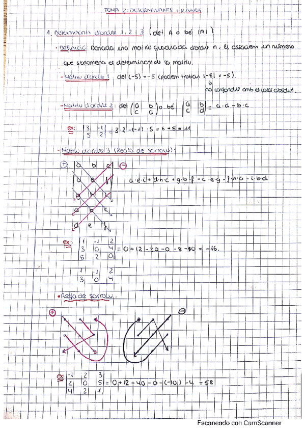 Miniatura del documento apunts-determinantes-i-rangs.pdf