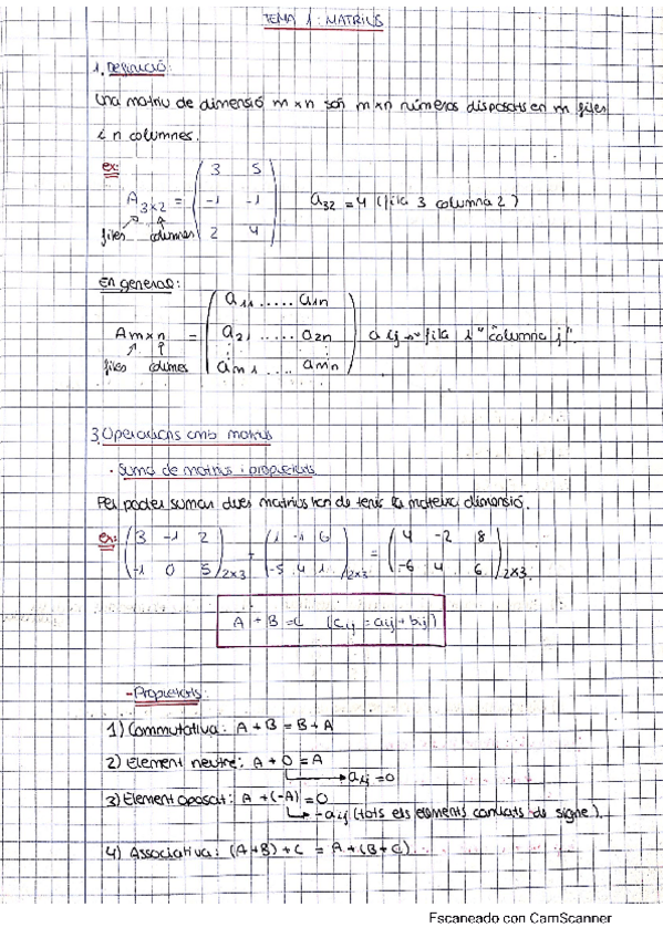 Miniatura del documento apunts-matrius.pdf