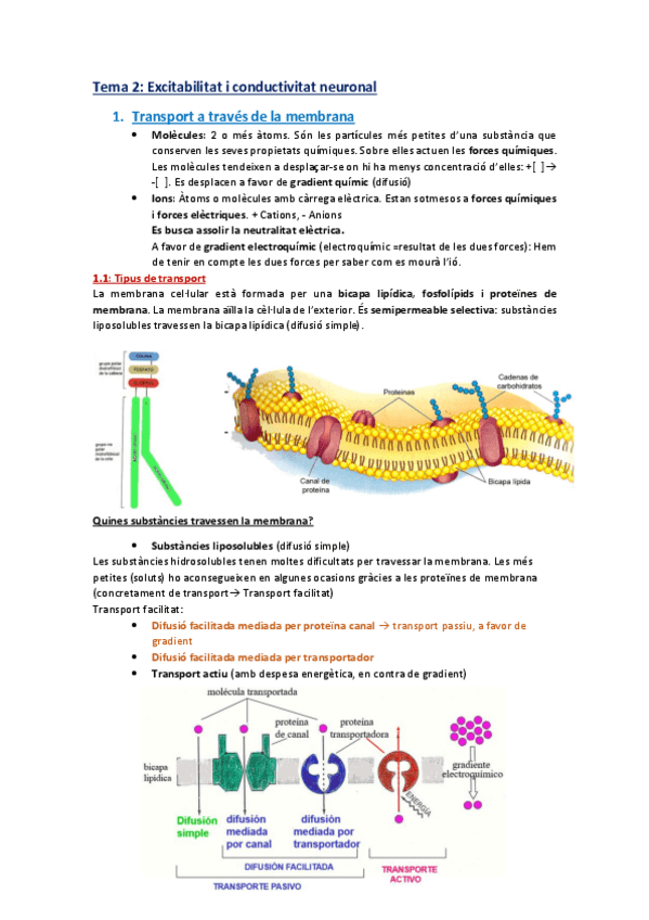 Miniatura del documento Resum tema 2 (1).pdf